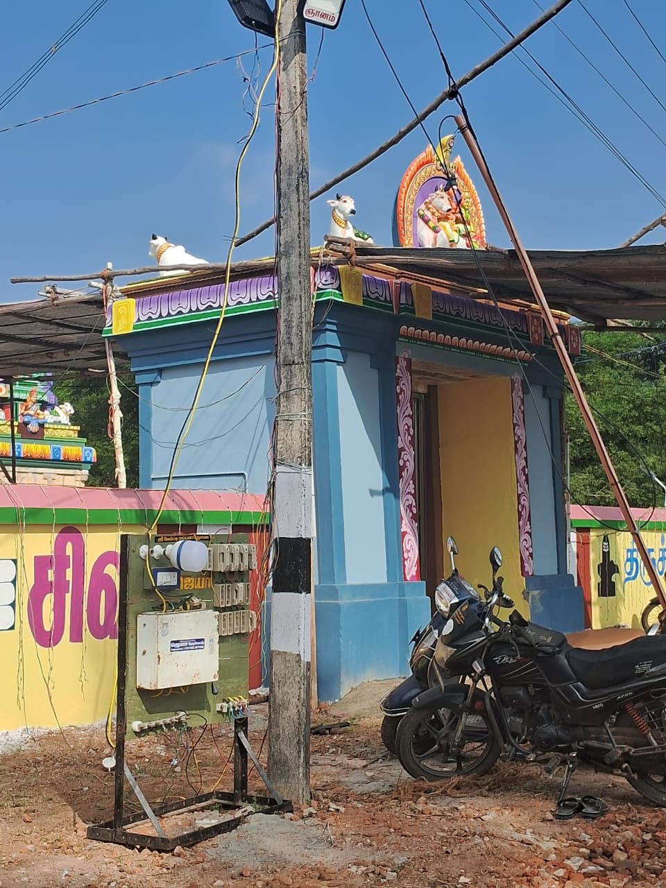 Temple kitchen preparation during function